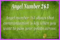 263 Angel Number Meaning - Pulptastic