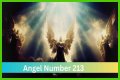 
ANGEL NUMBER 213
