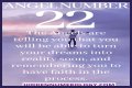 
ANGEL NUMBER 22

