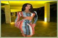 Diana Lapo Net Worth – How Much Is Diana Lapo Worth?