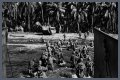 WWII's Most Daring Raids - Smithsonian Channel